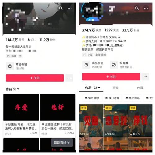 小红书真人点赞及抖音播放量自助平台，24小时全网最低速下单