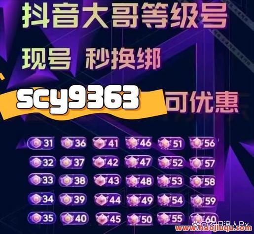 KS业务下单平台：快手直播间人气提升的必备网站
