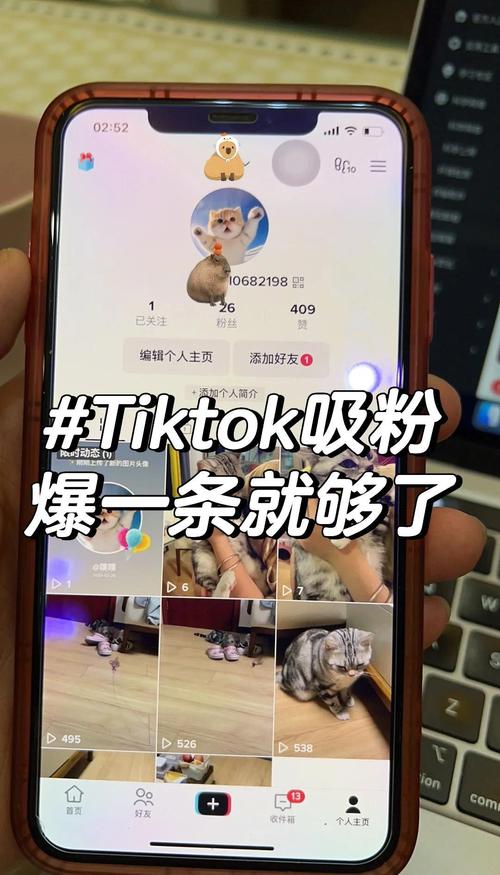 TikTok平台购买粉丝是可选策略?这里有答案