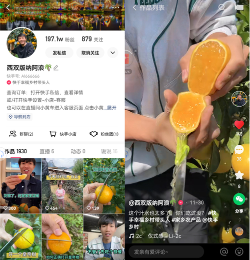 人手一本致富经?快手上这些乡村创作者实力超强