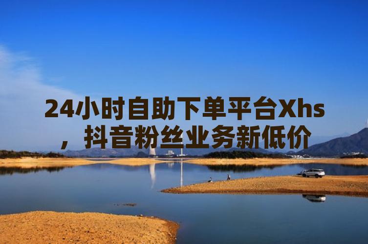 抖音低价粉丝网站,轻松实现粉丝自助下单