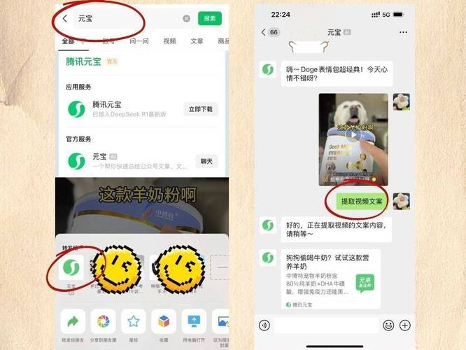 抖音快手粉丝速涨神器?24小时自助下单秒到账秘籍