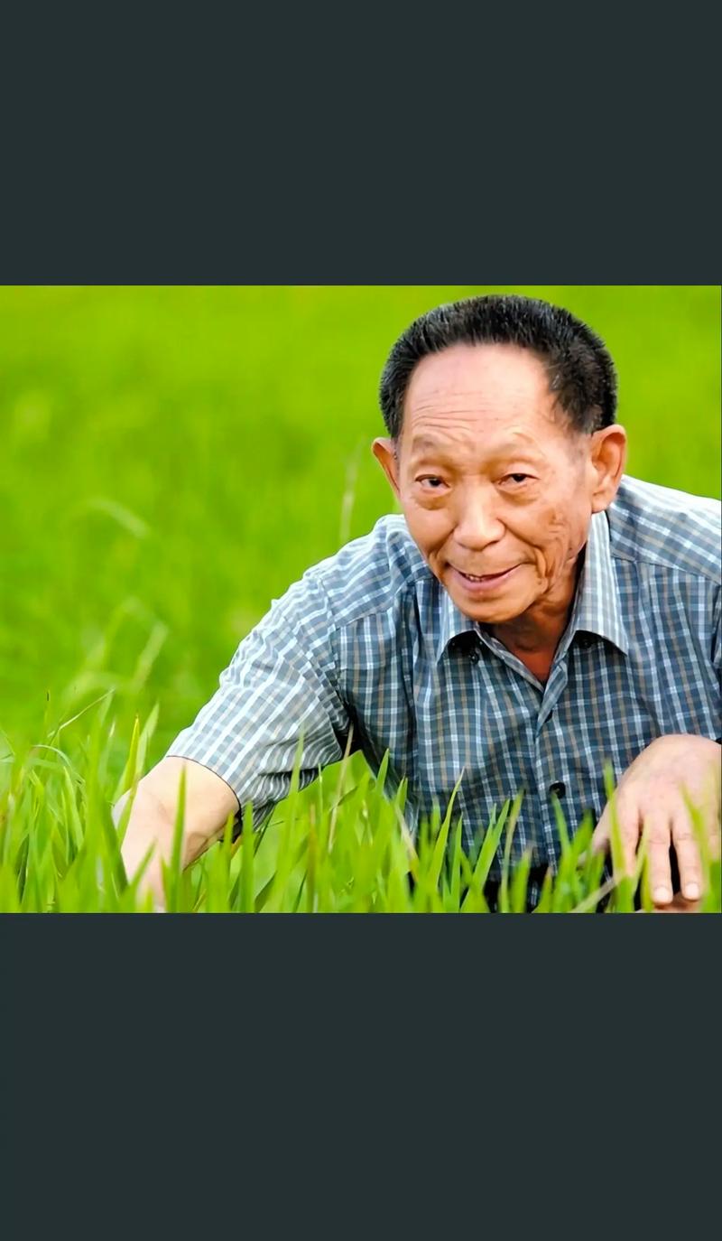 经济学人全球早报:飞天茅台单价冲刺3000元?袁隆平抖音账号已注销