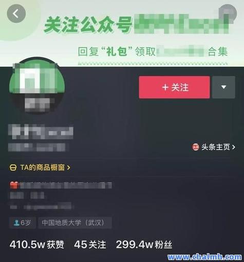 抖音业务低价自助平台超低价,揭秘快手双击播放量重要性